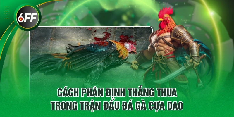 Đá Gà Cựa Dao - Thông Tin Quy Định Luật Chơi Từ A - Z 4 Cách phân định thắng thua trong trận đấu đá gà cựa dao