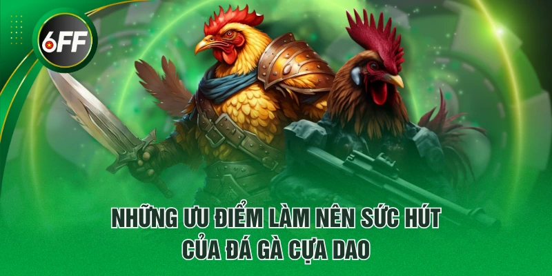 Đá Gà Cựa Dao - Thông Tin Quy Định Luật Chơi Từ A - Z 2 Những ưu điểm làm nên sức hút của đá gà cựa dao