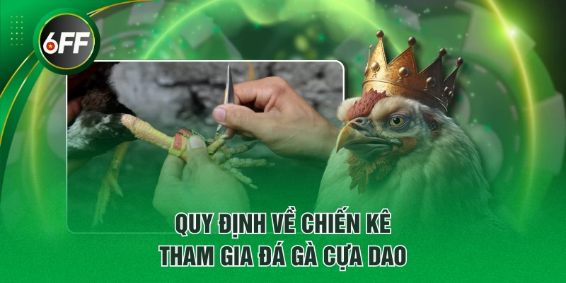 Đá Gà Cựa Dao - Thông Tin Quy Định Luật Chơi Từ A - Z 3 Quy định về chiến kê tham gia đá gà cựa dao